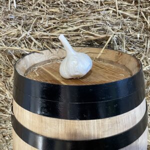 Ullastrell garlic